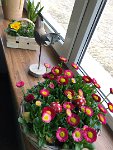IMG_5671